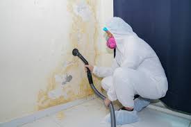 Why You Should Choose Our Mold Remediation Services in Manchester, MD